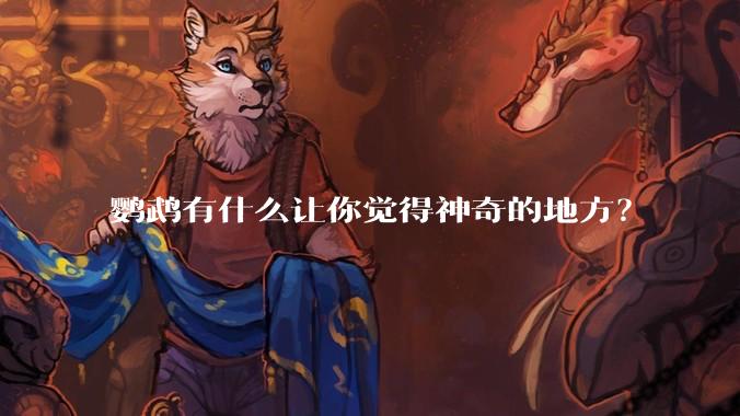 鹦鹉有什么让你觉得神奇的地方？