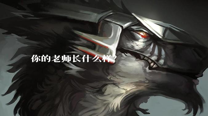 你的老师长什么样？