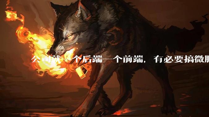 公司就一个后端一个前端，有必要搞微服务吗？