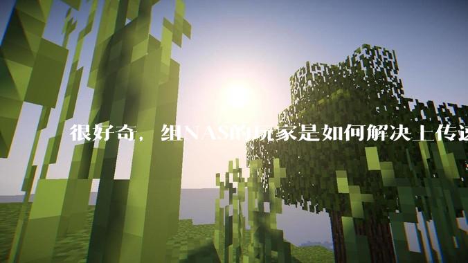 很好奇，组NAS的玩家是如何解决上传速率的问题?