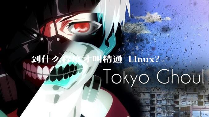 到什么程度才叫精通 Linux？