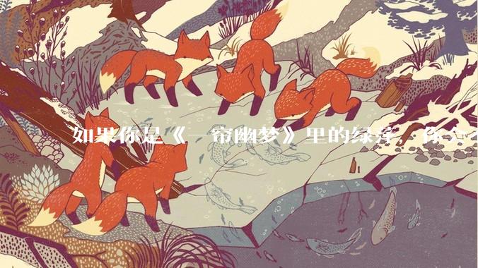 如果你是《一帘幽梦》里的绿萍，你会不会最后原谅紫菱？