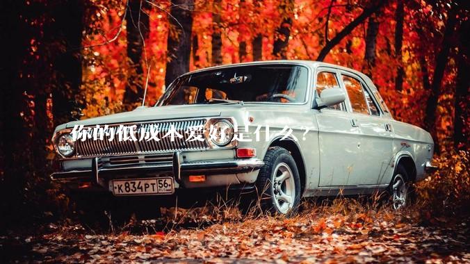 你的低成本爱好是什么？