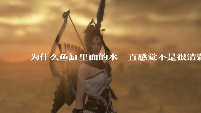 为什么鱼缸里面的水一直感觉不是很清澈呢？