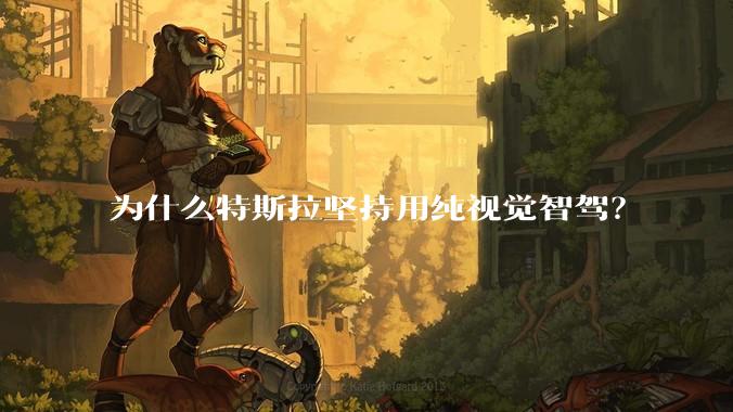 为什么特斯拉坚持用纯视觉智驾？