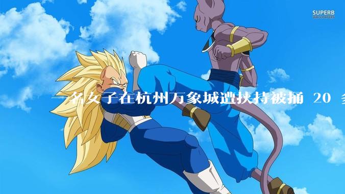 一名女子在杭州万象城遭挟持被捅 20 多刀，隆胸***体救了一命，这反映出哪些公安系统的问题？