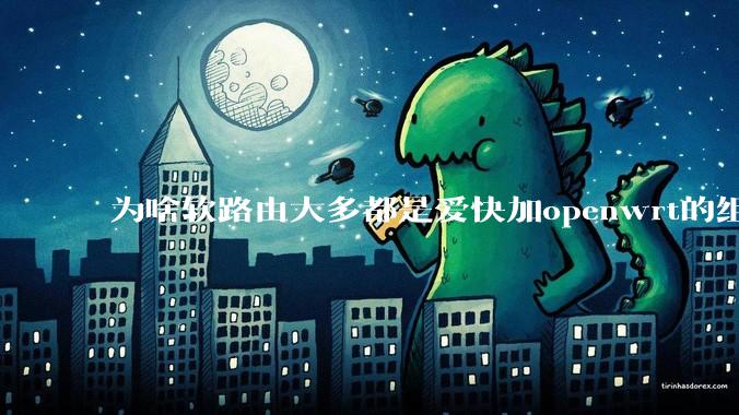 为啥软路由大多都是爱快加openwrt的组合，单openwrt有什么缺点嘛？