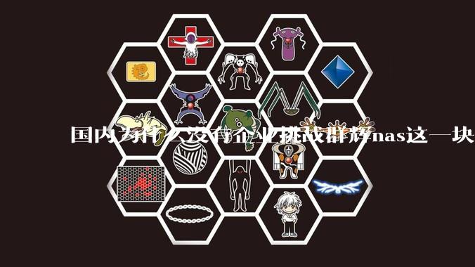 国内为什么没有企业挑战群辉nas这一块市场？