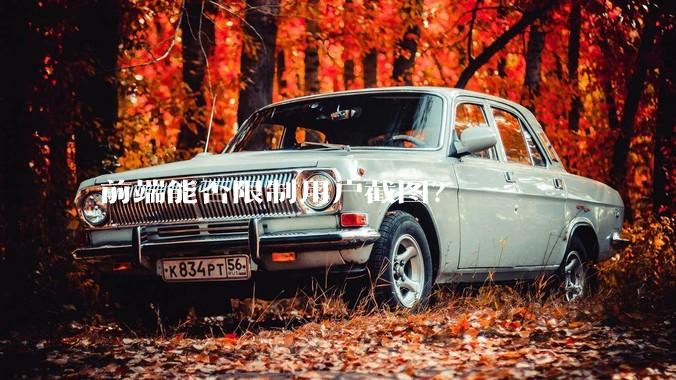 前端能否限制用户截图？