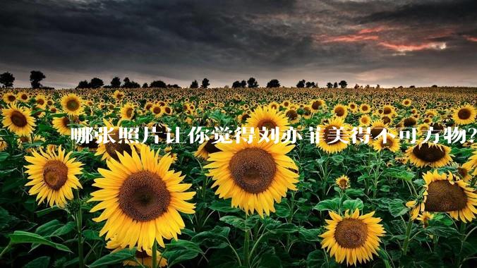 哪张照片让你觉得刘亦菲美得不可方物？