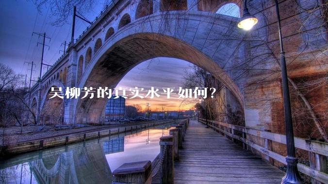 吴柳芳的真实水平如何？