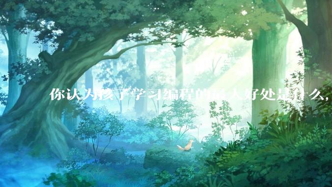 你认为孩子学习编程的最大好处是什么，等级考试有用吗?