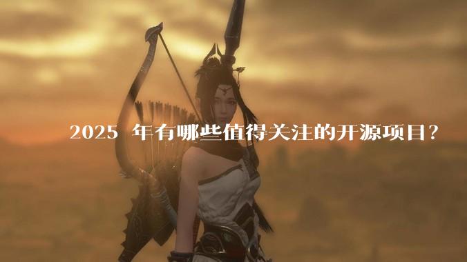 2025 年有哪些值得关注的开源项目？
